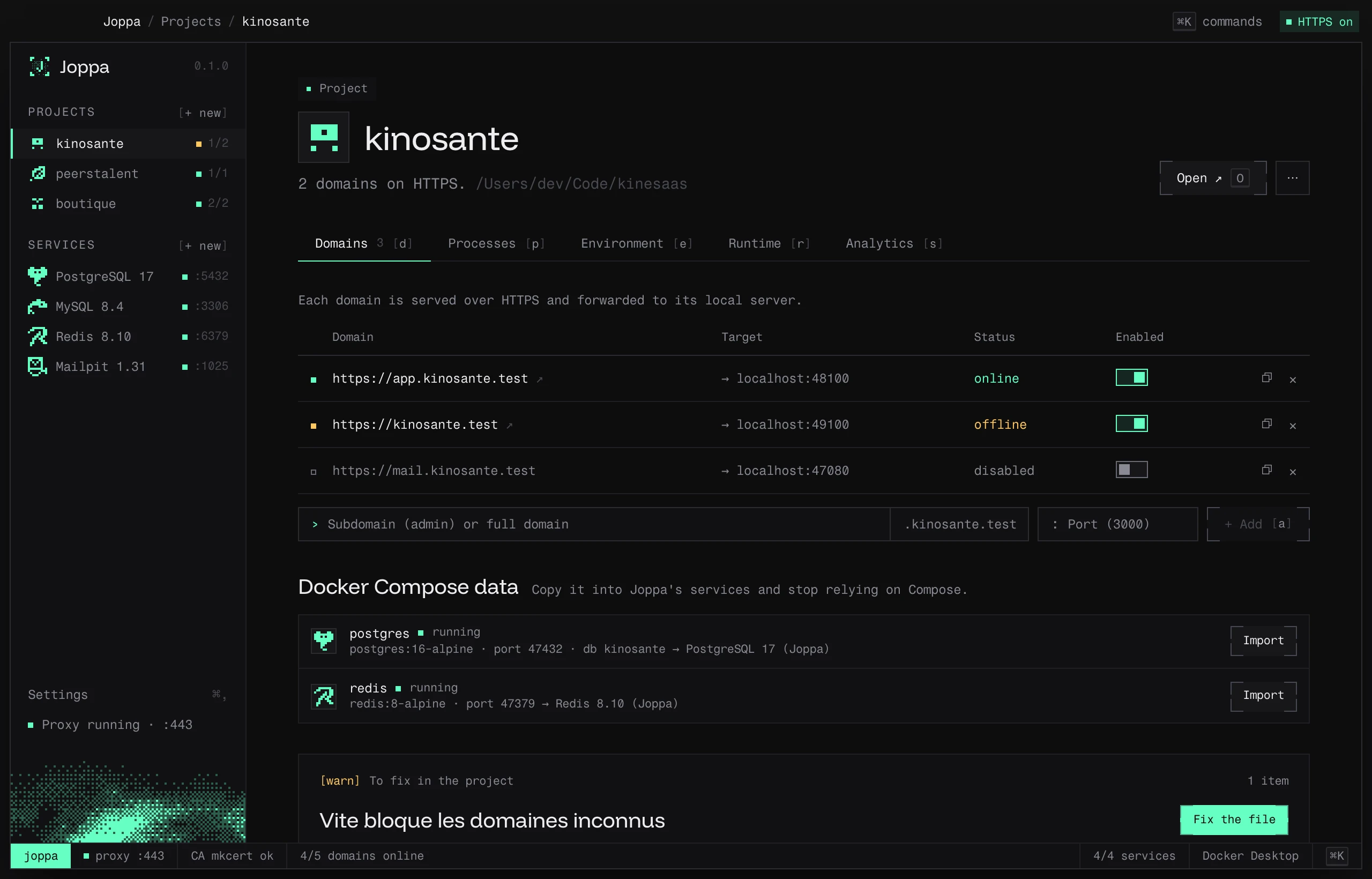A project’s Domains tab, with the Docker Compose data section and a Vite setting to fix
