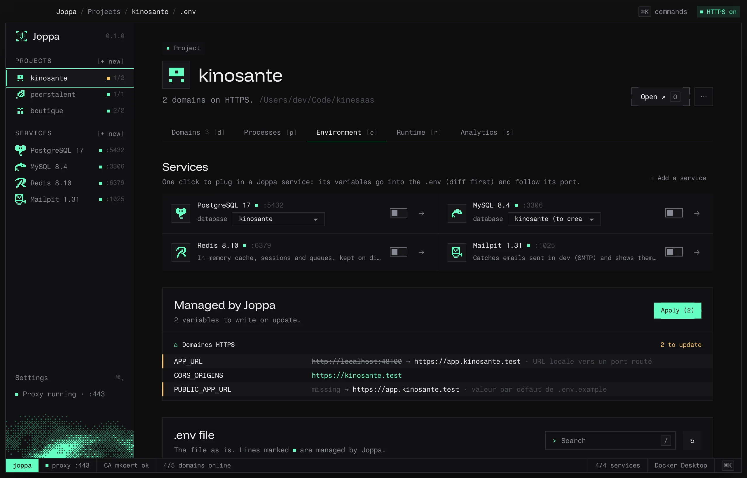The Environment tab: plugged-in services, variables managed by Joppa and the .env editor