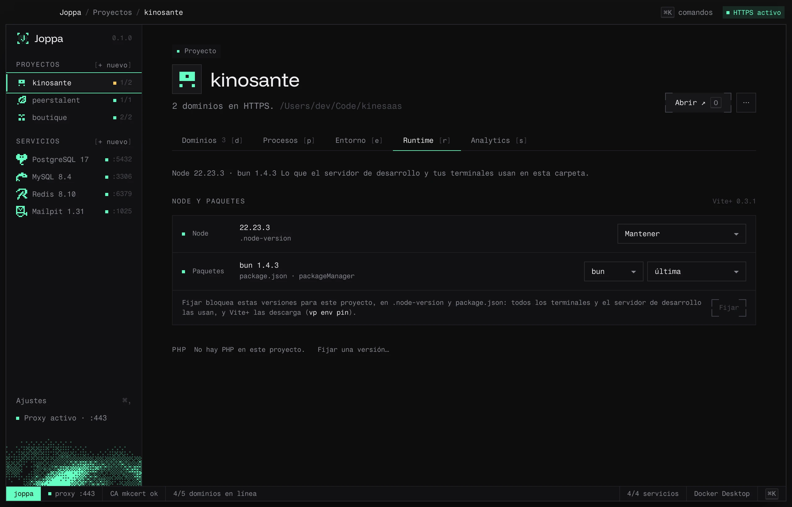 La pestaña Runtime: versiones de Node, del gestor de paquetes y de PHP del proyecto