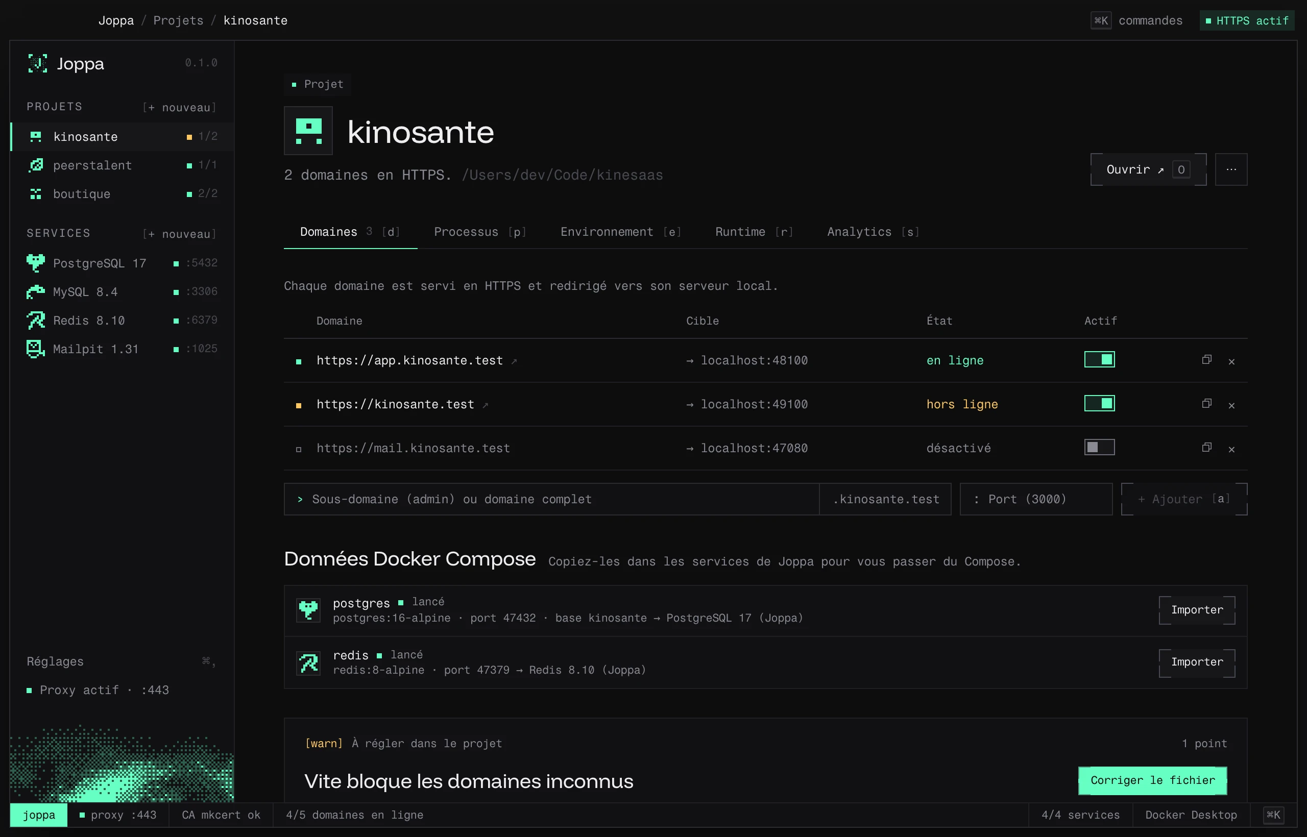 L’onglet Domaines d’un projet, avec la section Données Docker Compose et un réglage Vite à corriger