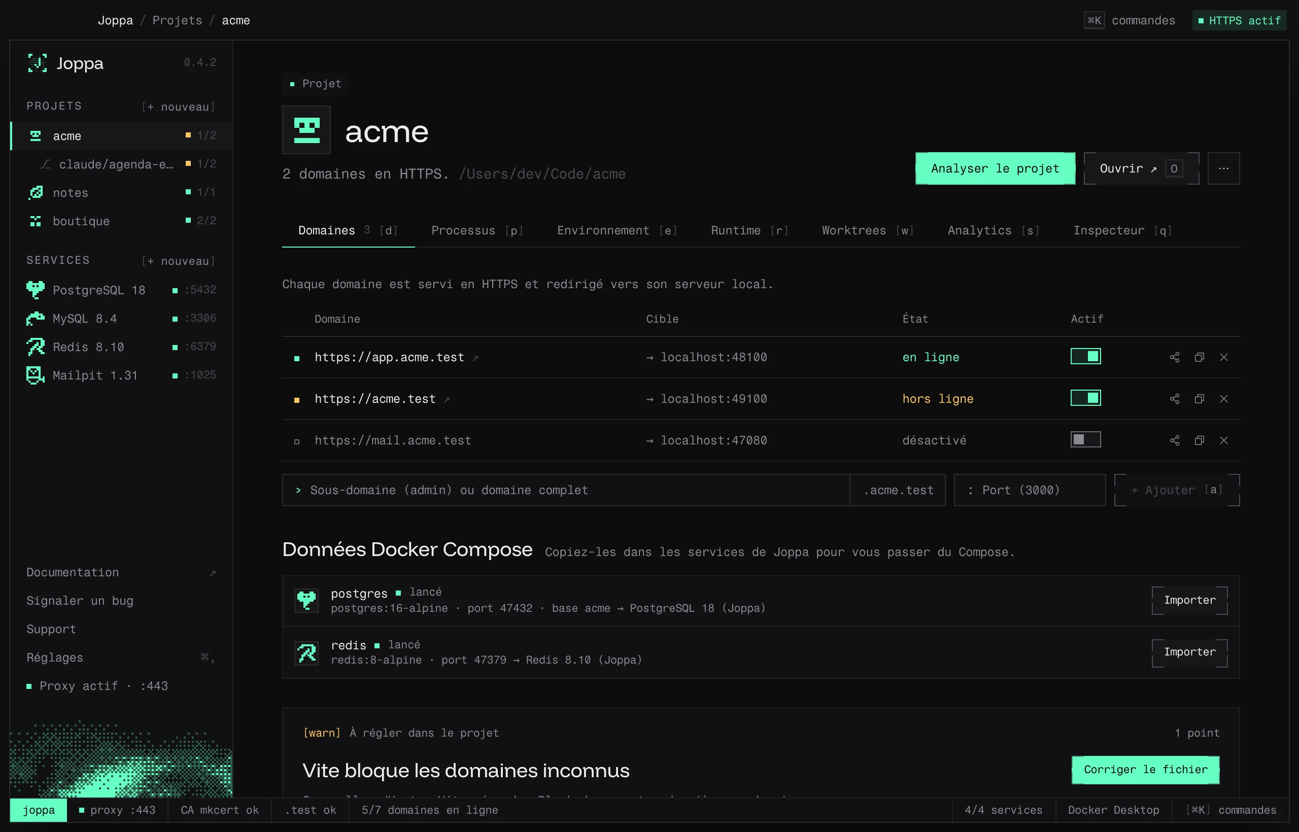 L’onglet Domaines d’un projet, avec la section Données Docker Compose et un réglage Vite à corriger