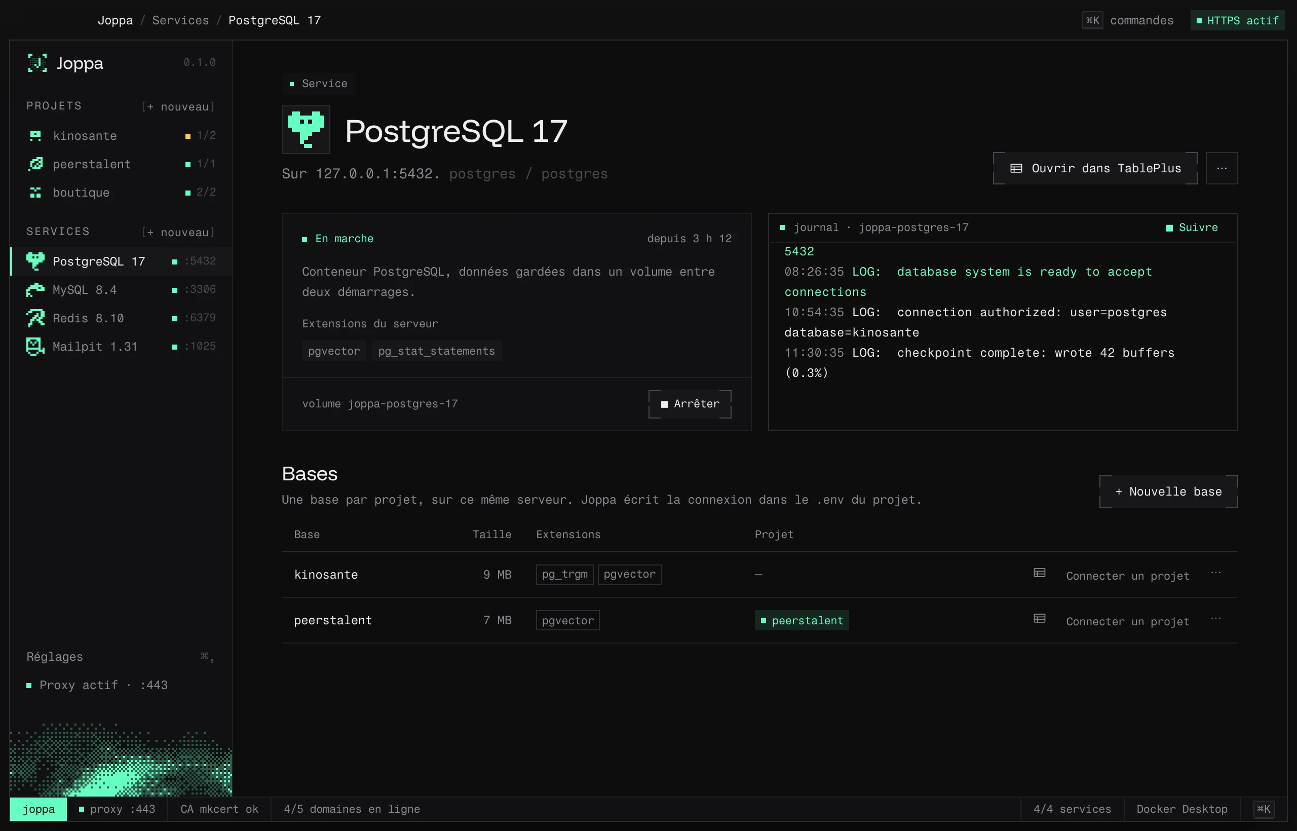 La page de PostgreSQL 17 : état, extensions du serveur, journal et bases des projets