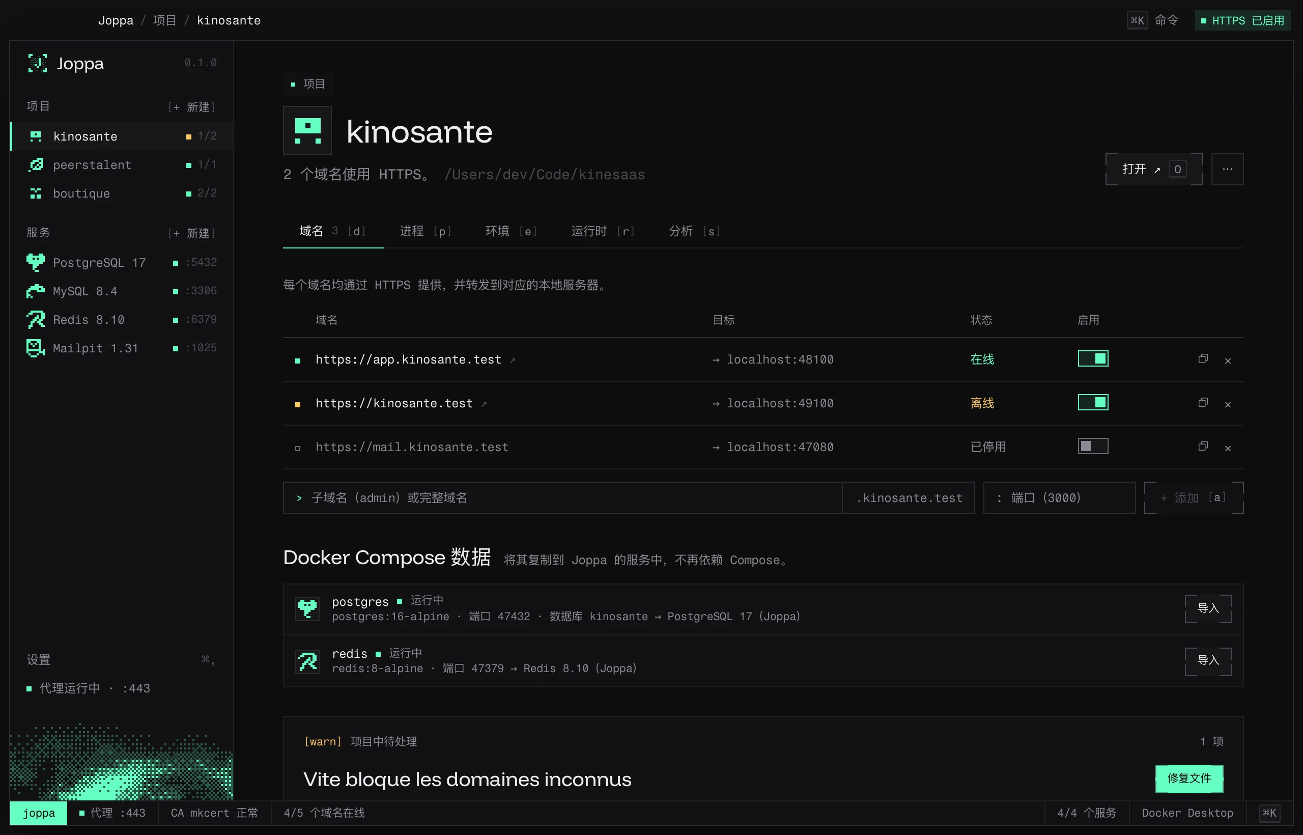 项目的域名标签页，包含 Docker Compose 数据部分和一项待修复的 Vite 设置