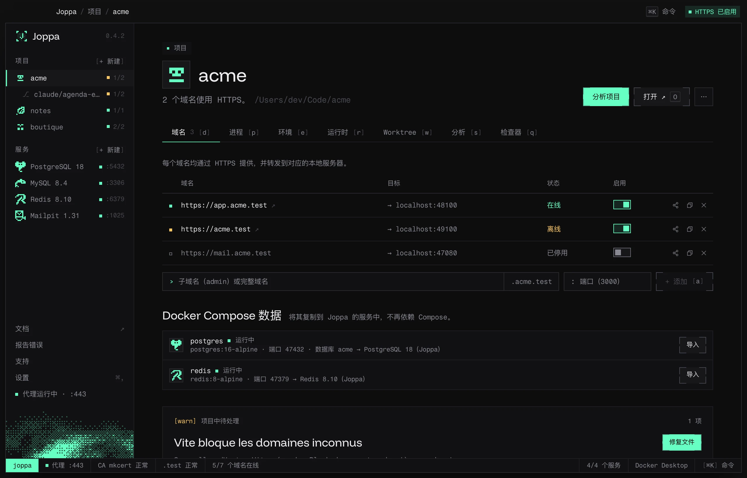 项目的域名标签页,包含 Docker Compose 数据部分和一项待修复的 Vite 设置