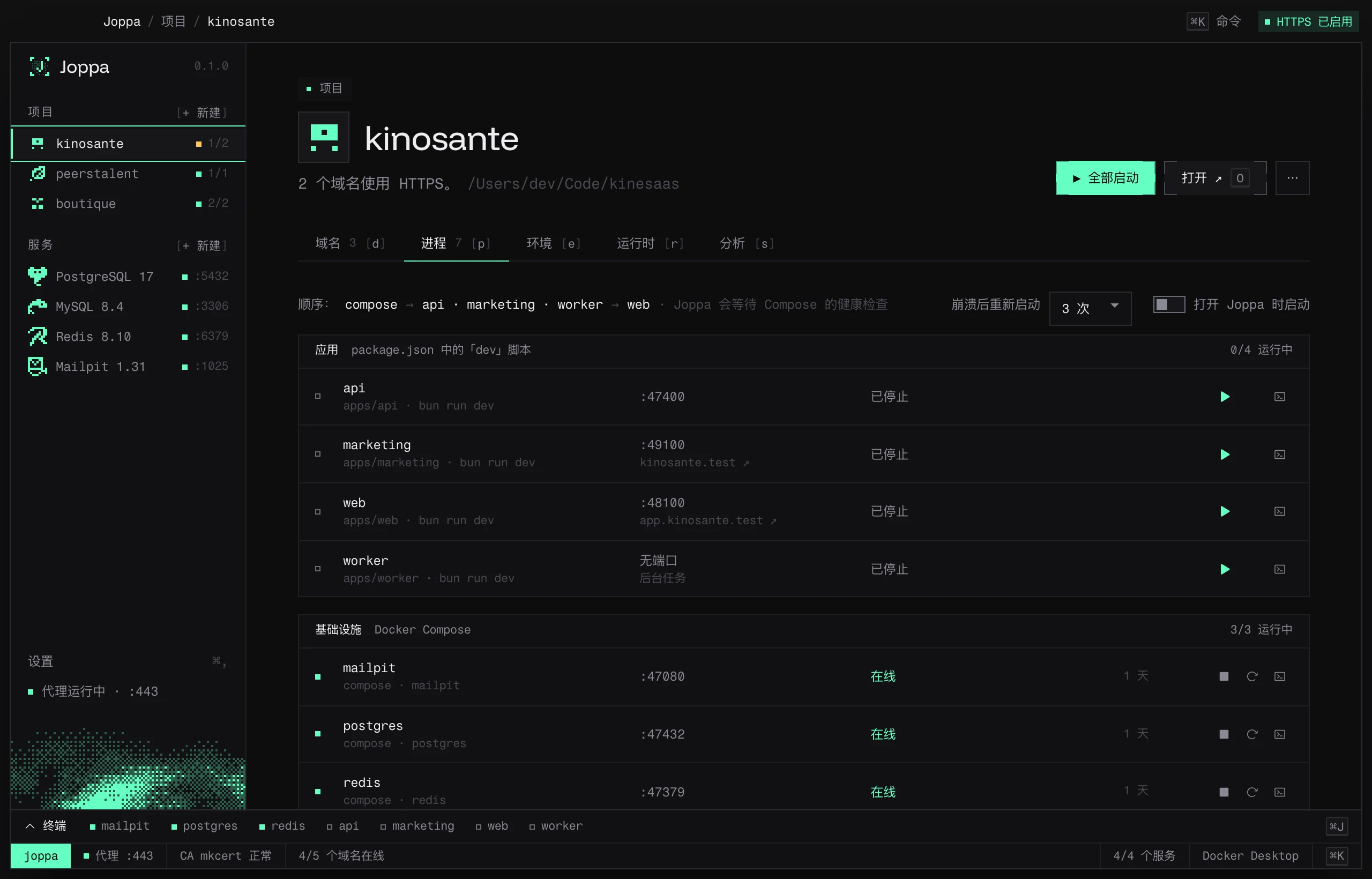 进程标签页：应用和 Docker Compose 基础设施，以及它们的端口和状态