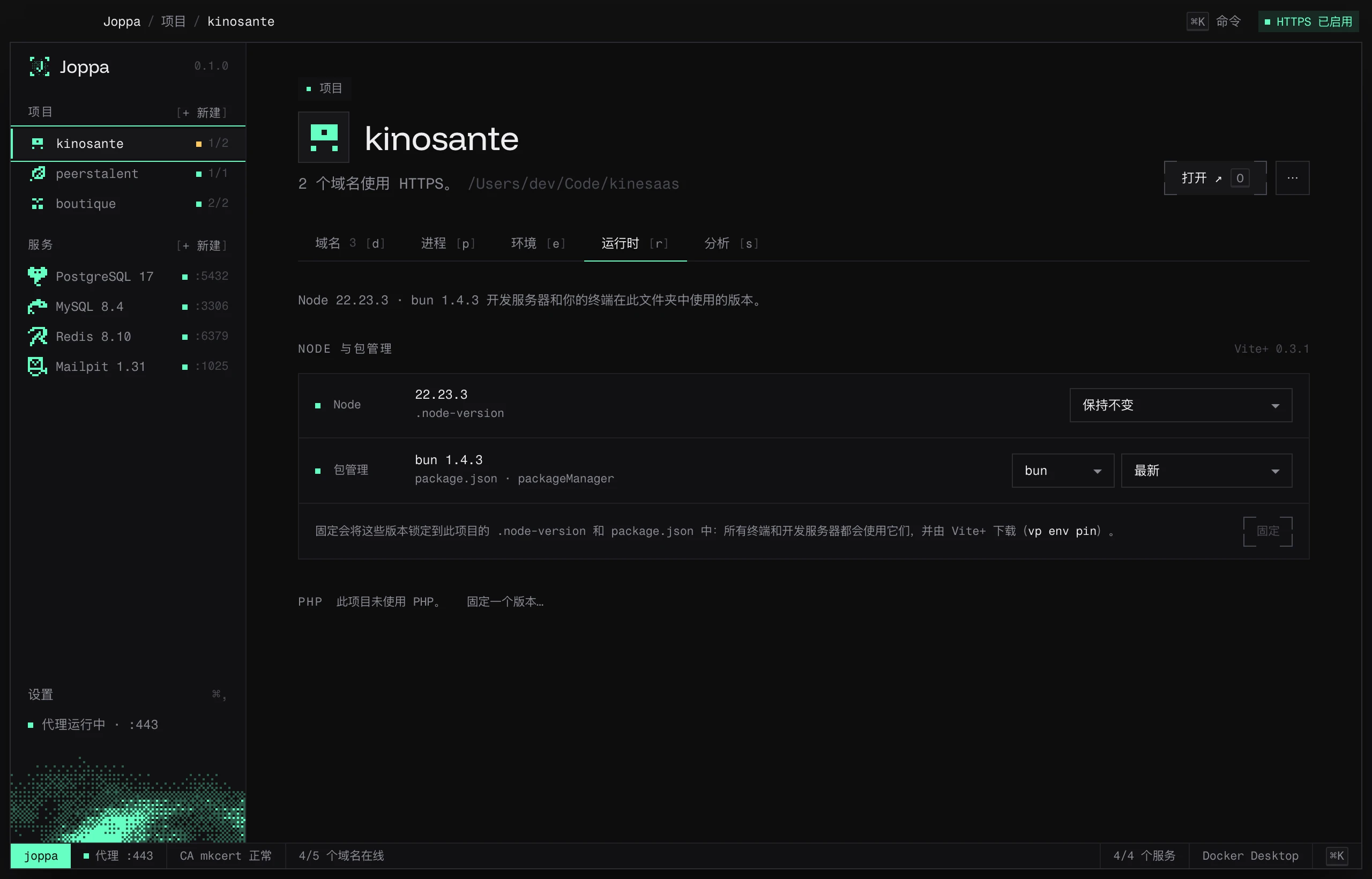 运行时标签页：项目的 Node、包管理器和 PHP 版本